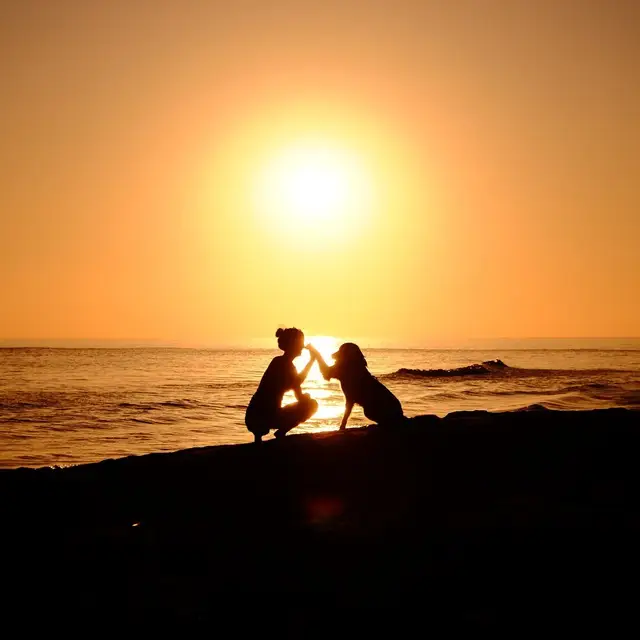 photo 2024 11 25 19 32 56